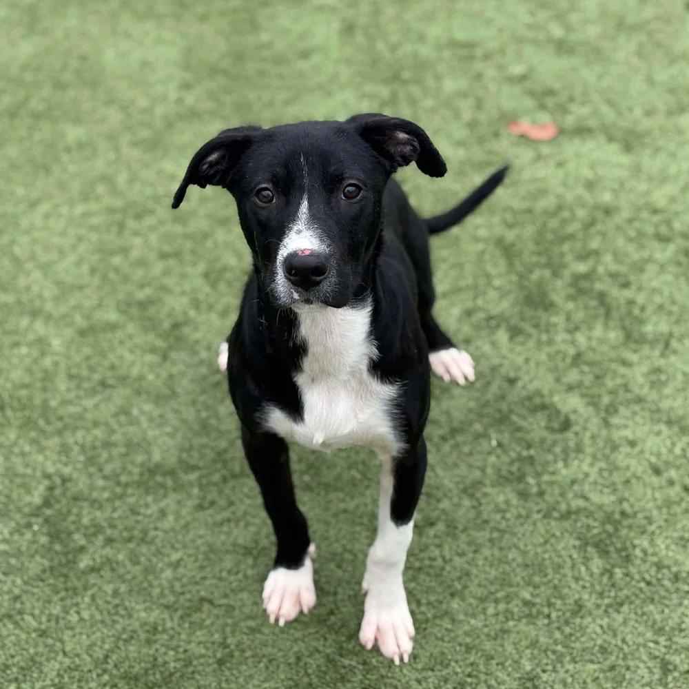 Wasabi — thumbnail 5