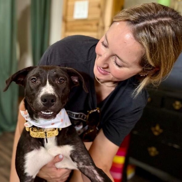 Zelda the Ball-Loving Fetch Girlie
