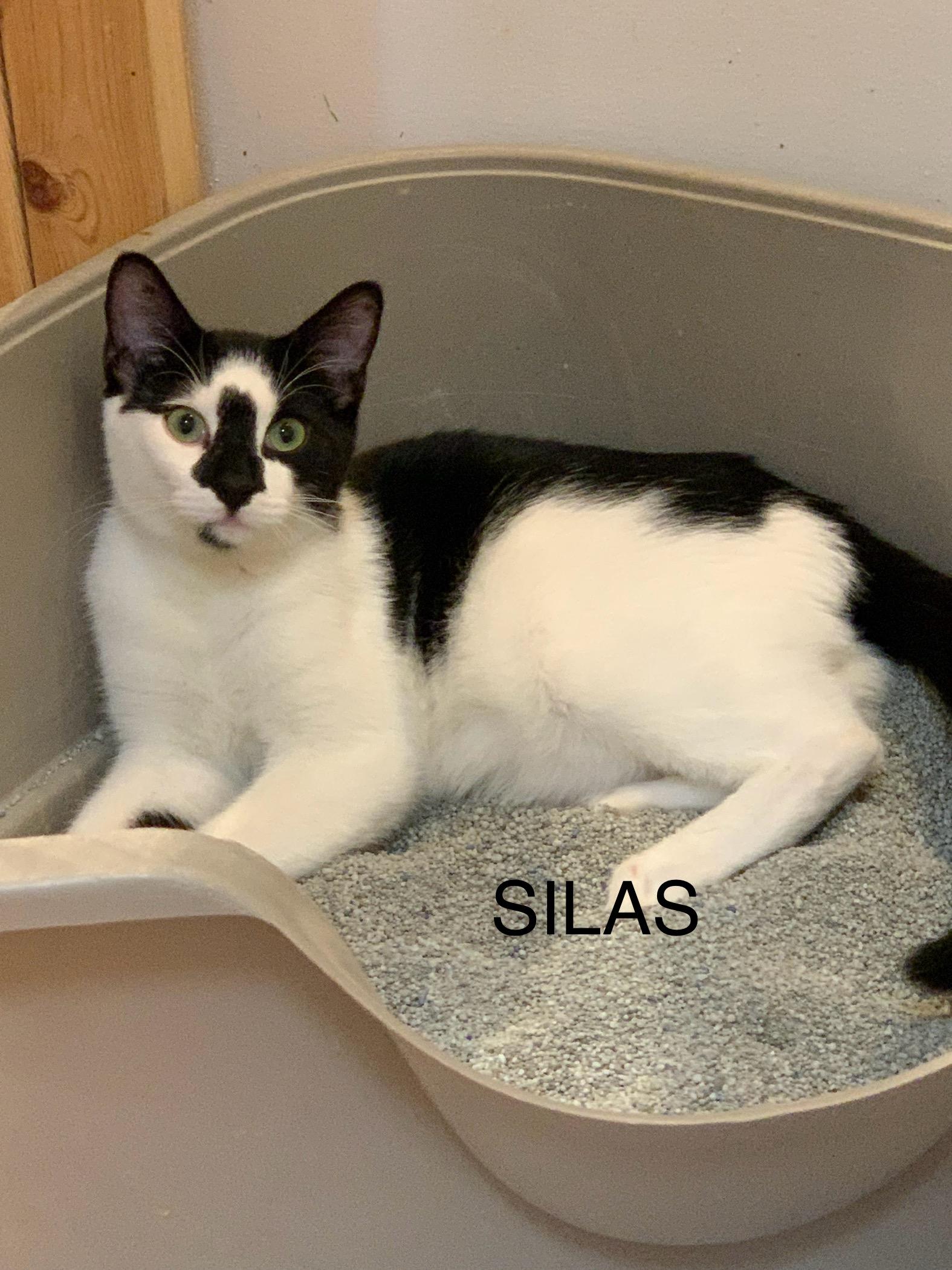 Silas