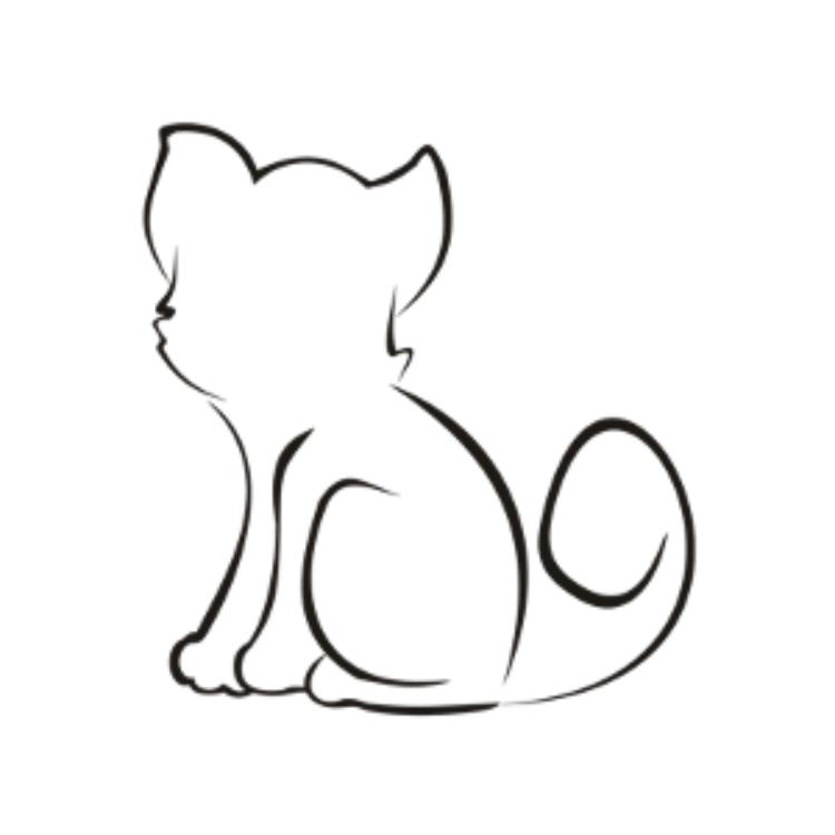 Fiona, Adoptable, Kitten Female Domestic Short Hair.