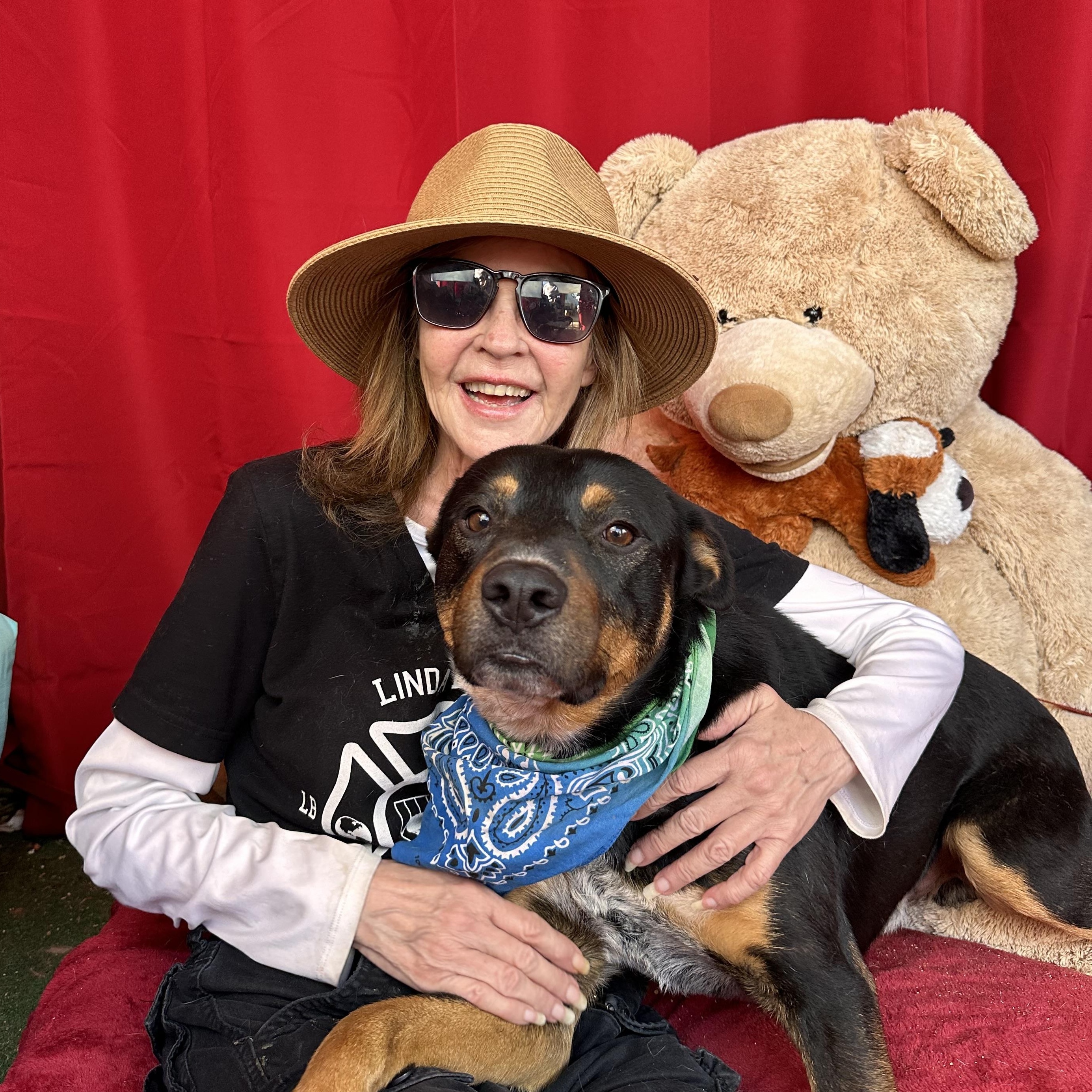 Batman, amazing mixed breed, a Adopted mixed breed in Acton, CA image 2/6