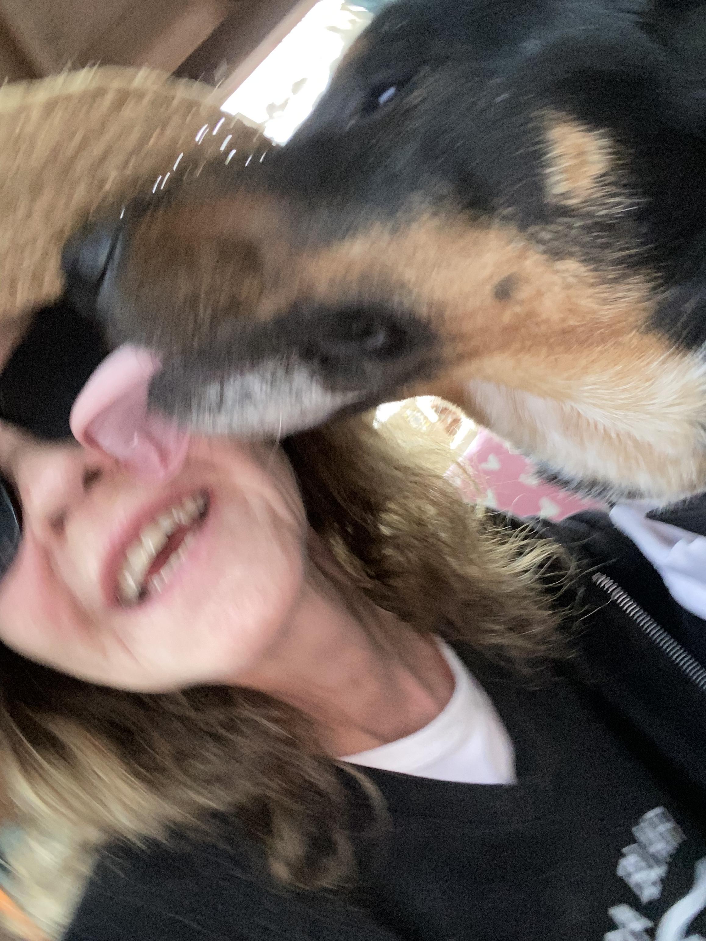 Batman, amazing mixed breed, a Adopted mixed breed in Acton, CA image 5/6