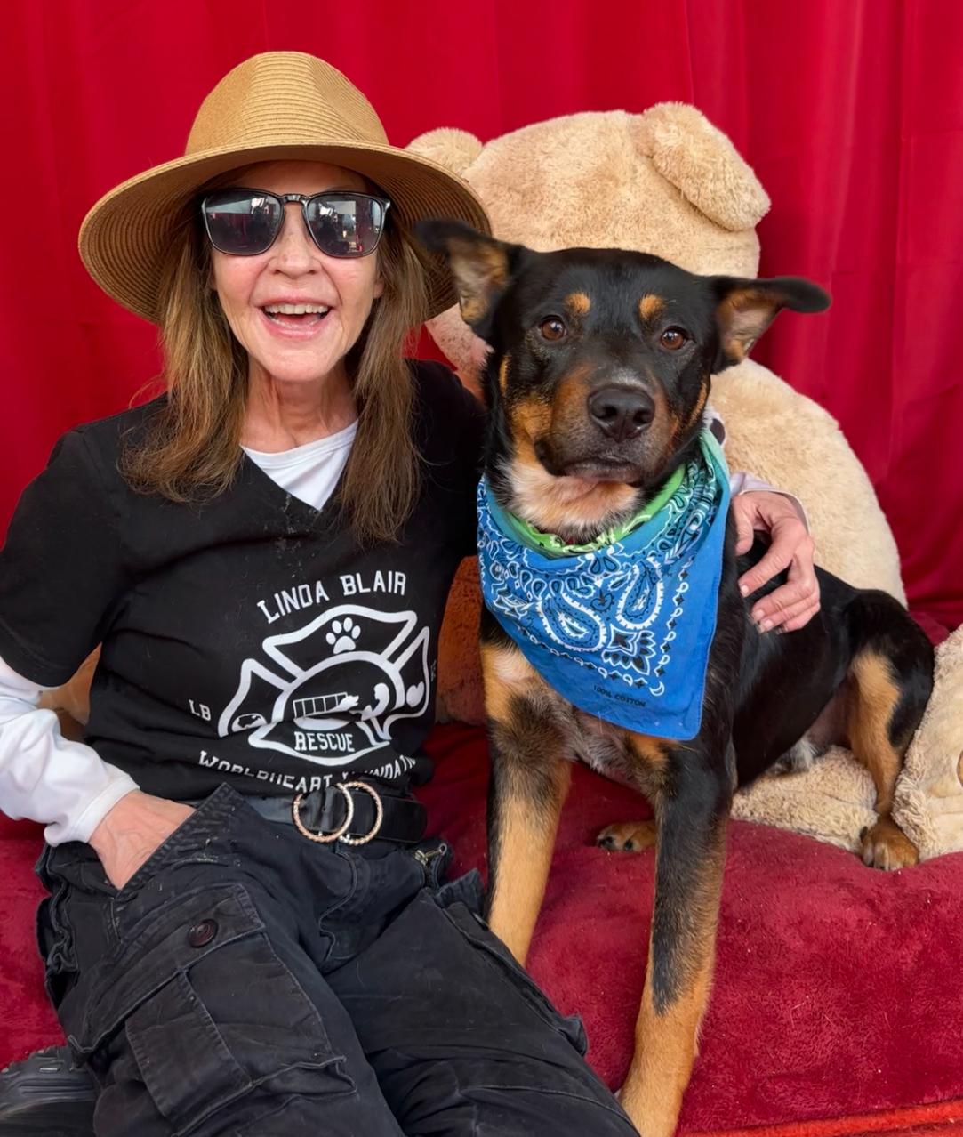 Batman, amazing mixed breed, a Adopted mixed breed in Acton, CA image 6/6