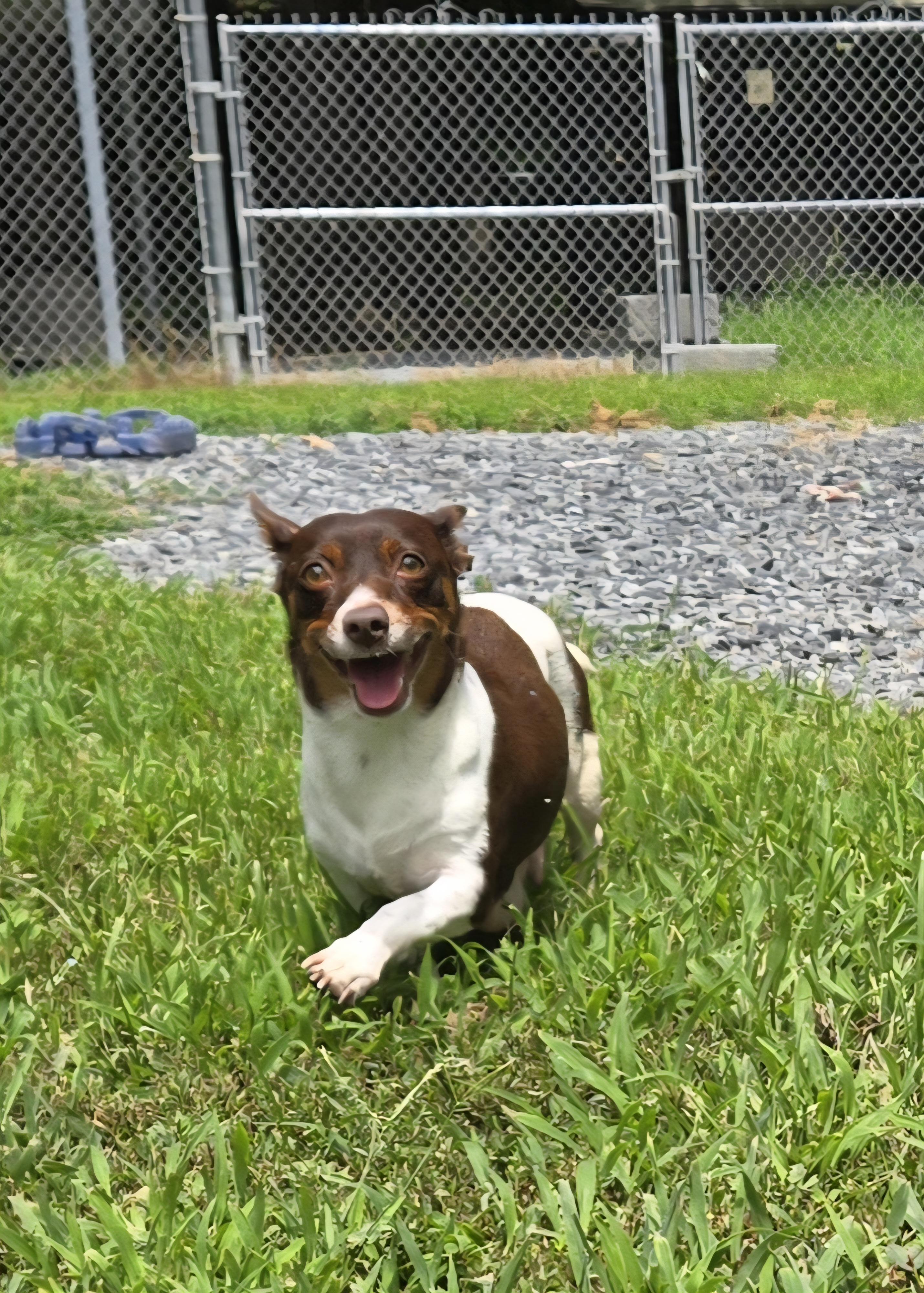 CoCo