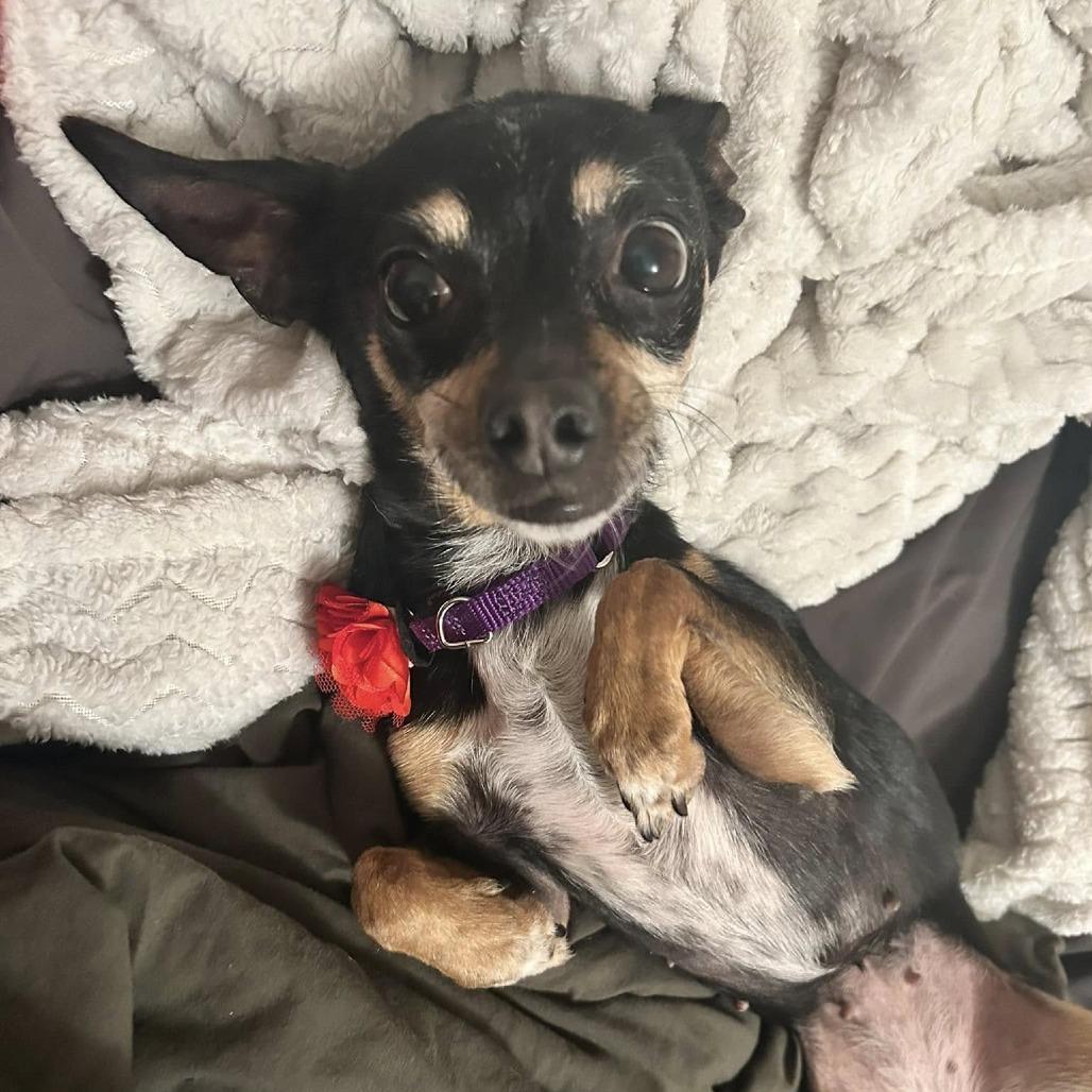 Nessa — thumbnail 4