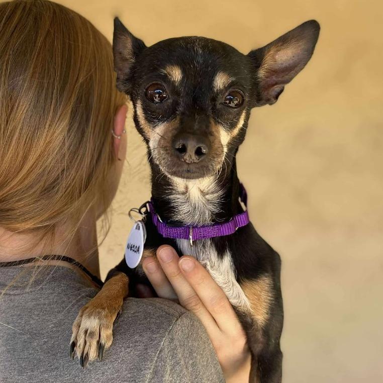 Nessa — thumbnail 5