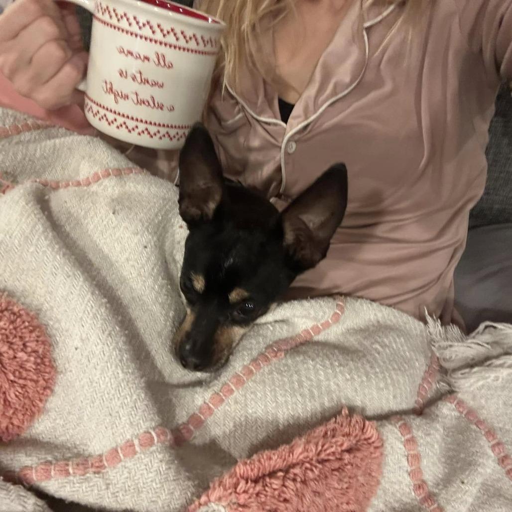 Nessa — thumbnail 6