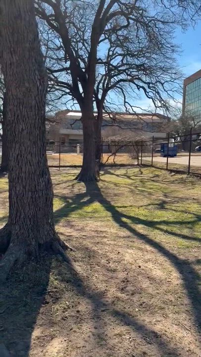 Enlarge Mosey, an adopted German Shepherd Dog in New Rochelle, NY video 3/3