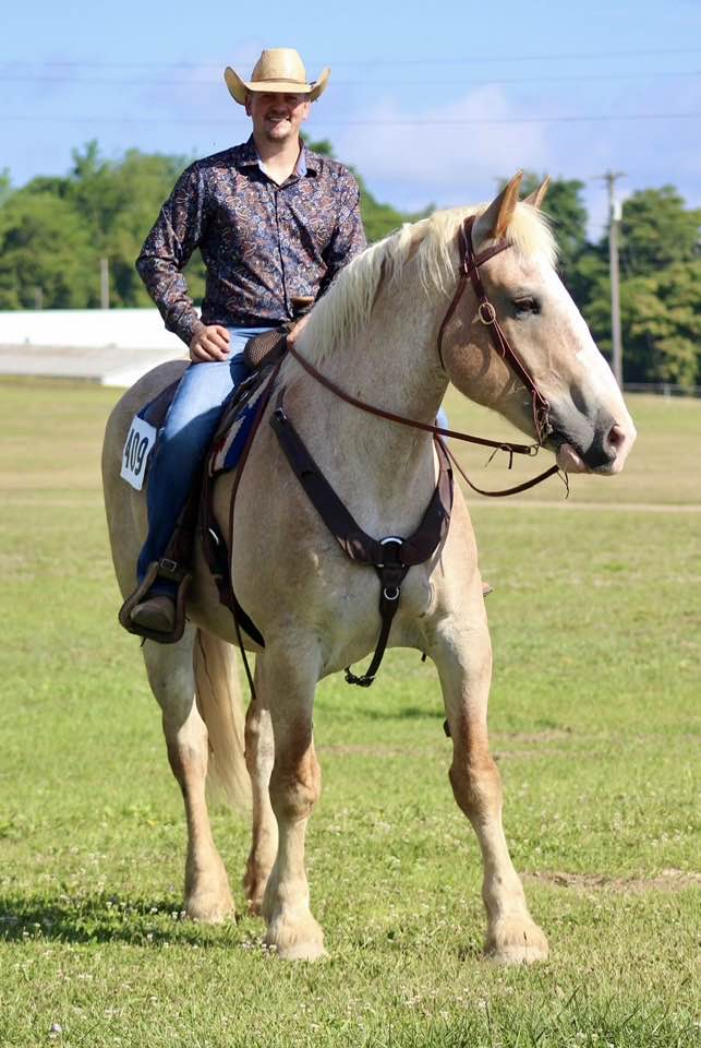 Enlarge Sven - MUST have signifiant experience with drafts, an adoptable Belgian in Huntington, WV image 3/6