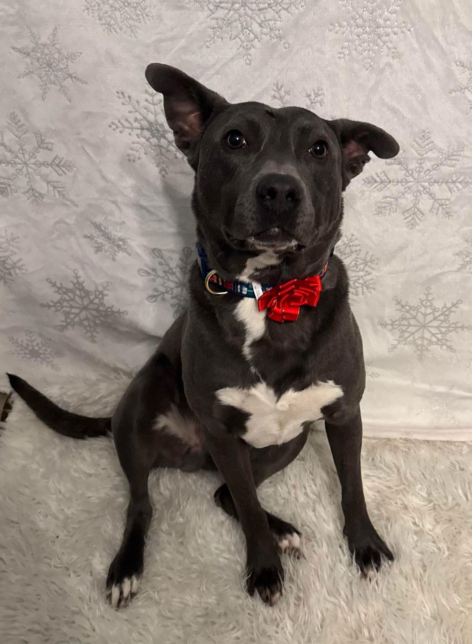 Chicken Nugget thumbnail 2