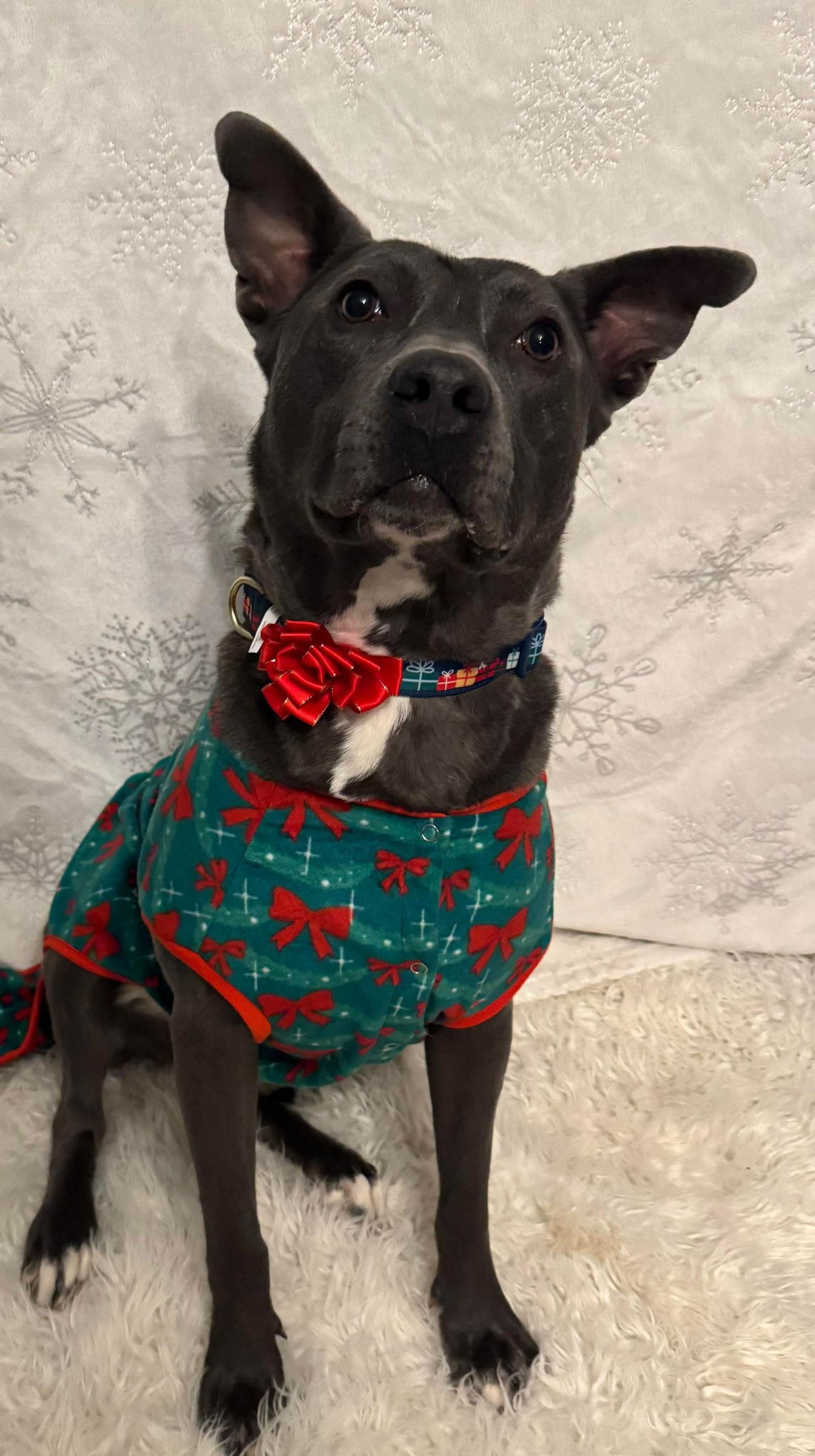 Chicken Nugget thumbnail 3