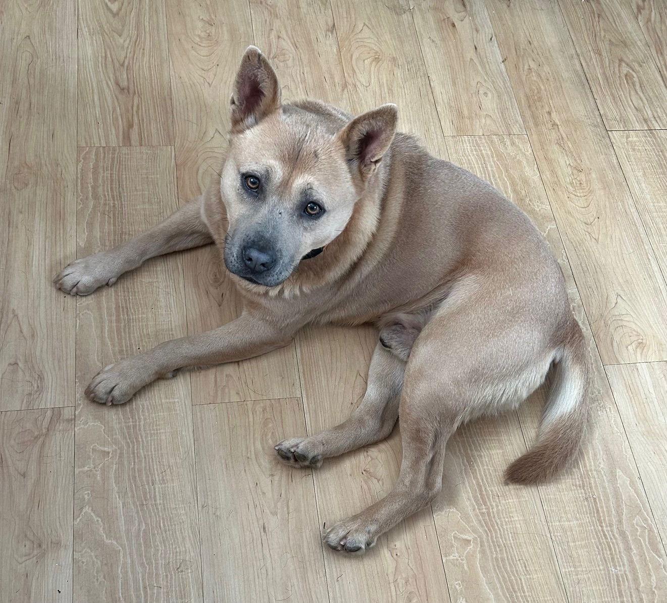 Jasper — thumbnail 2