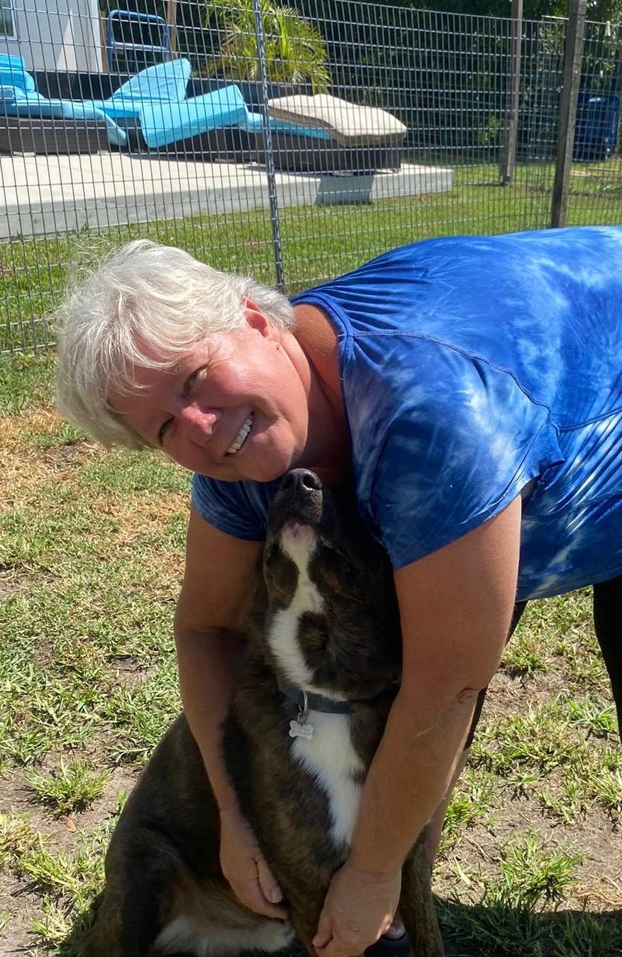 Enlarge Denver, a Adoptable mixed breed in Bradenton, FL image 3/6