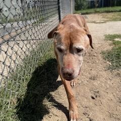 Ernie