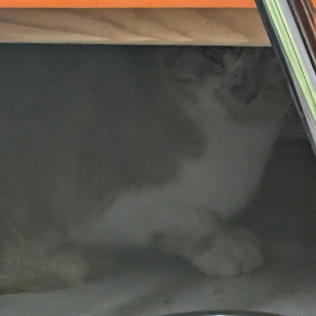 Koyo — thumbnail 2