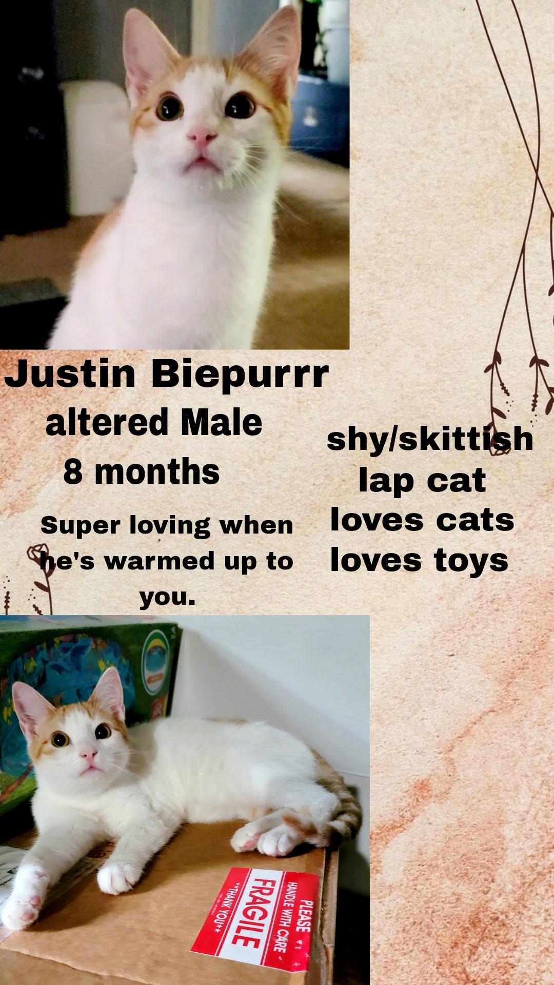 Justin Biepurrr, Young Male unknown