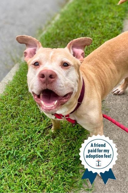 Chipotle thumbnail 2