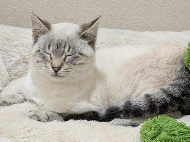 Arthur — thumbnail 2