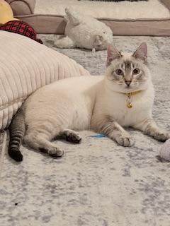 Arthur — thumbnail 3