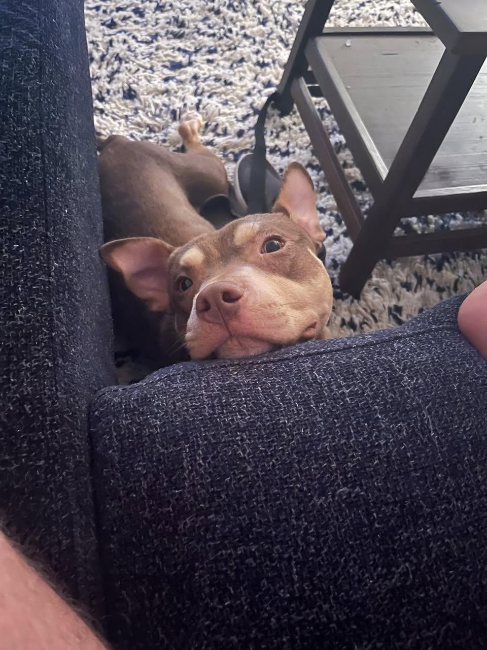 Tonka