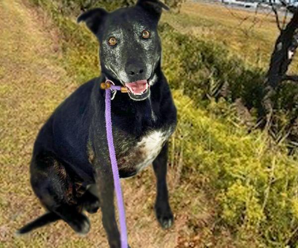 NYX* — thumbnail 3