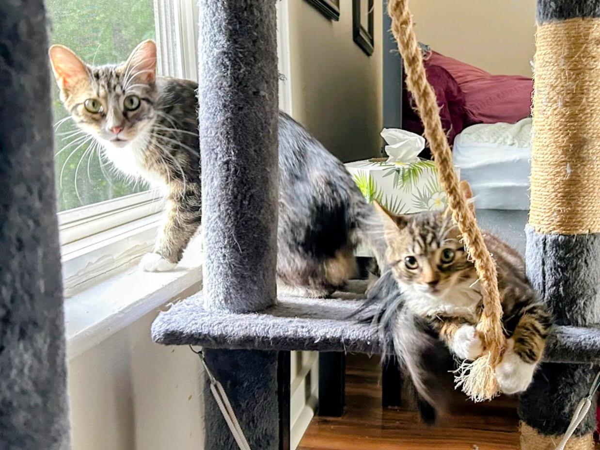 Suzie & Lana (bonded mom & baby)