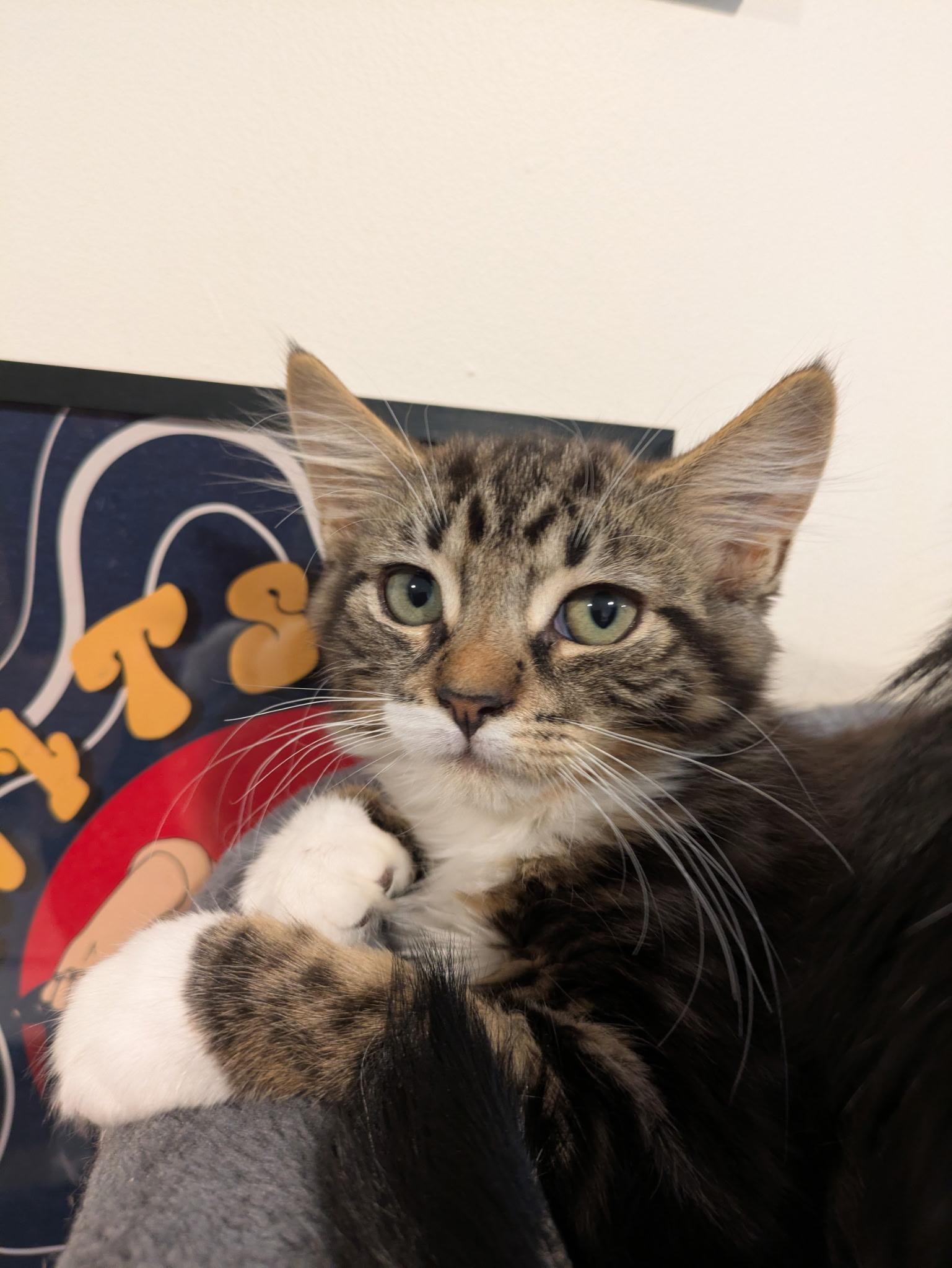 Suzie & Lana (bonded mom & baby)