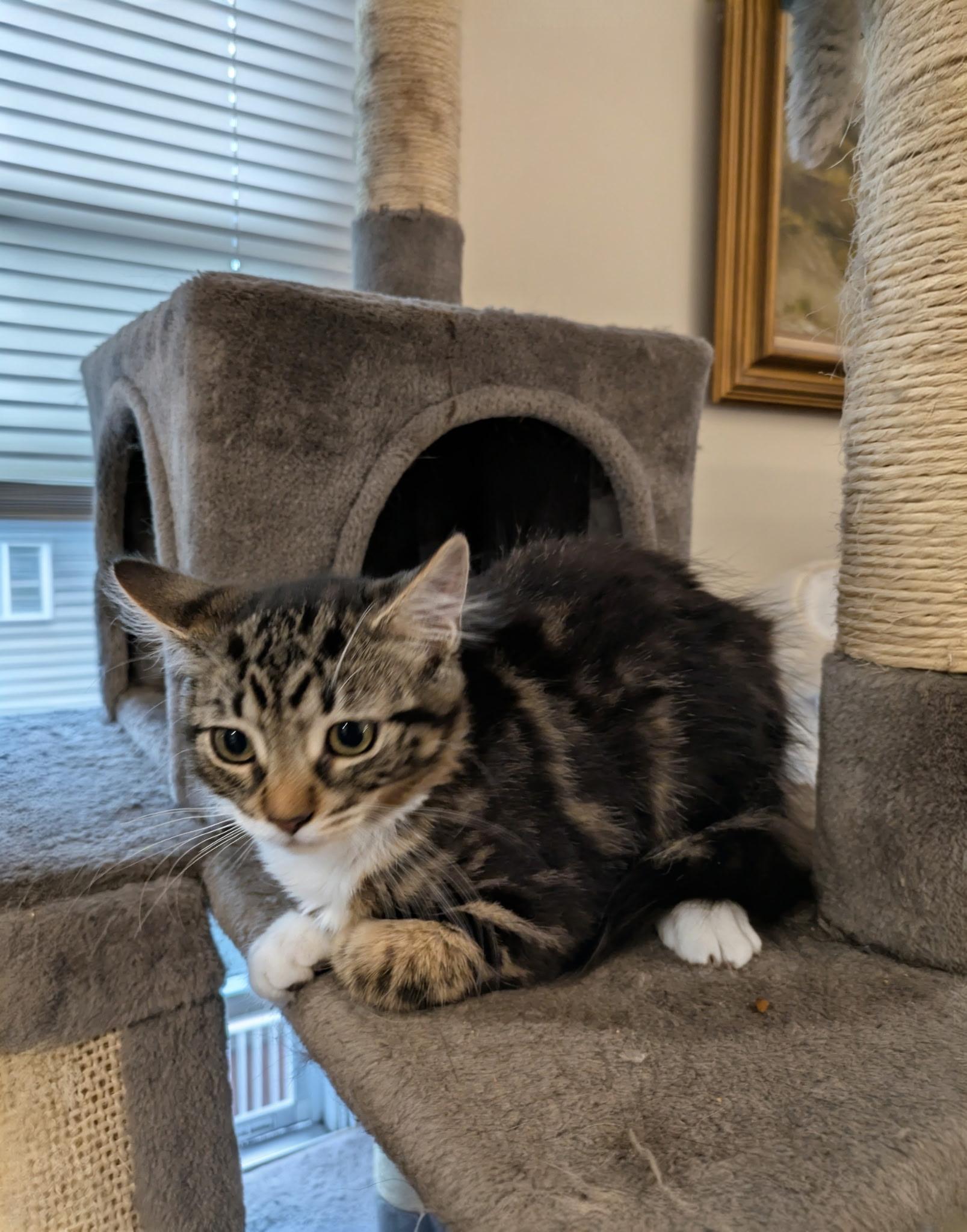 Suzie & Lana (bonded mom & baby)