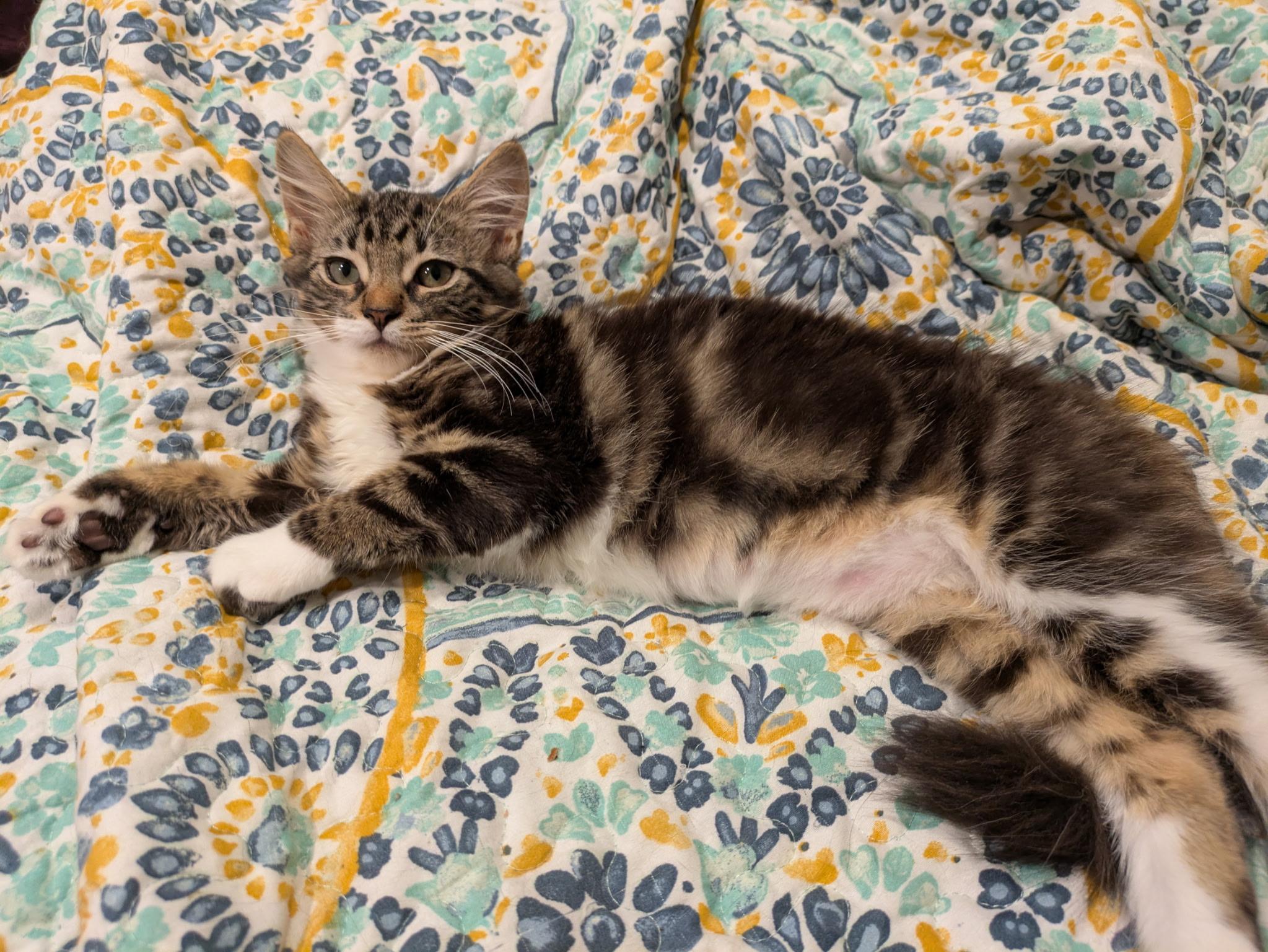 Suzie & Lana (bonded mom & baby)