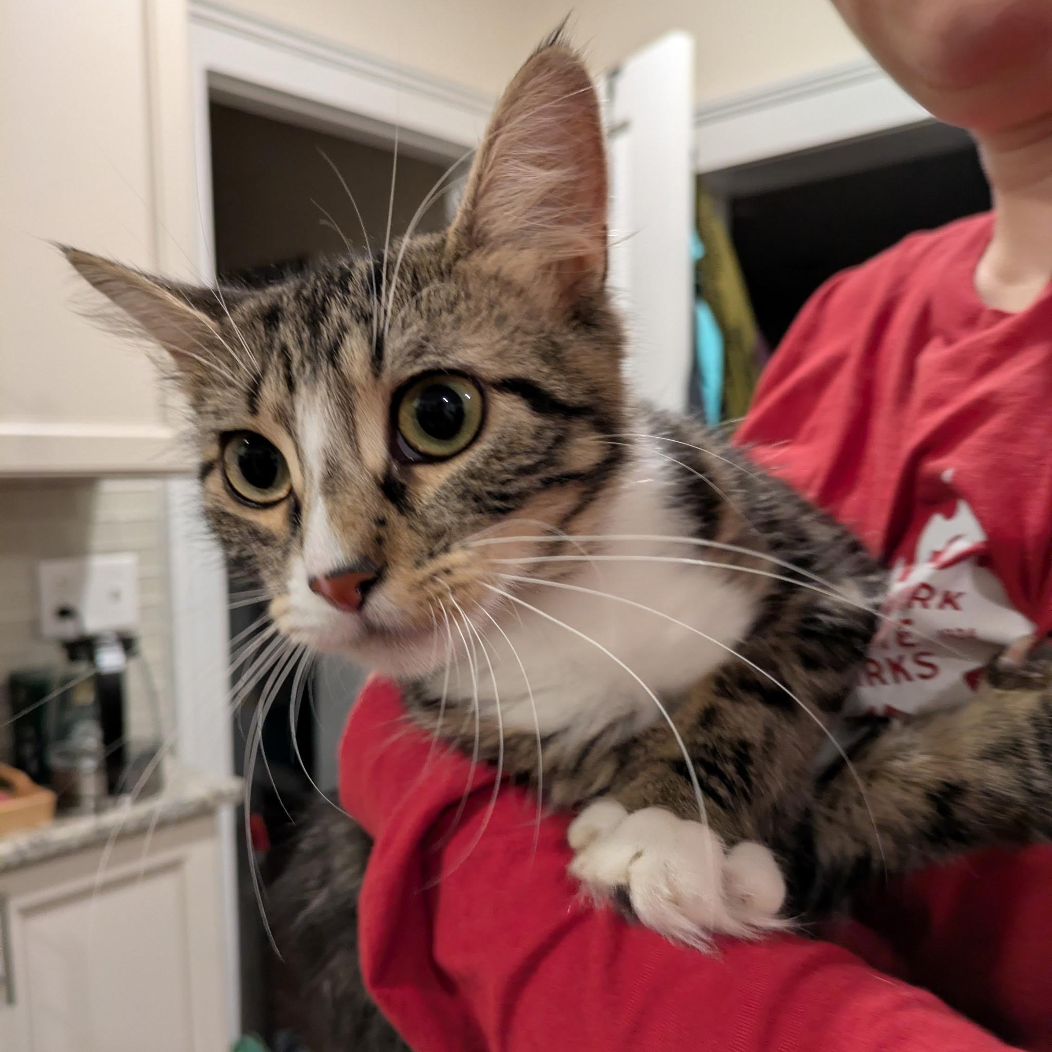 Suzie & Lana (bonded mom & baby)