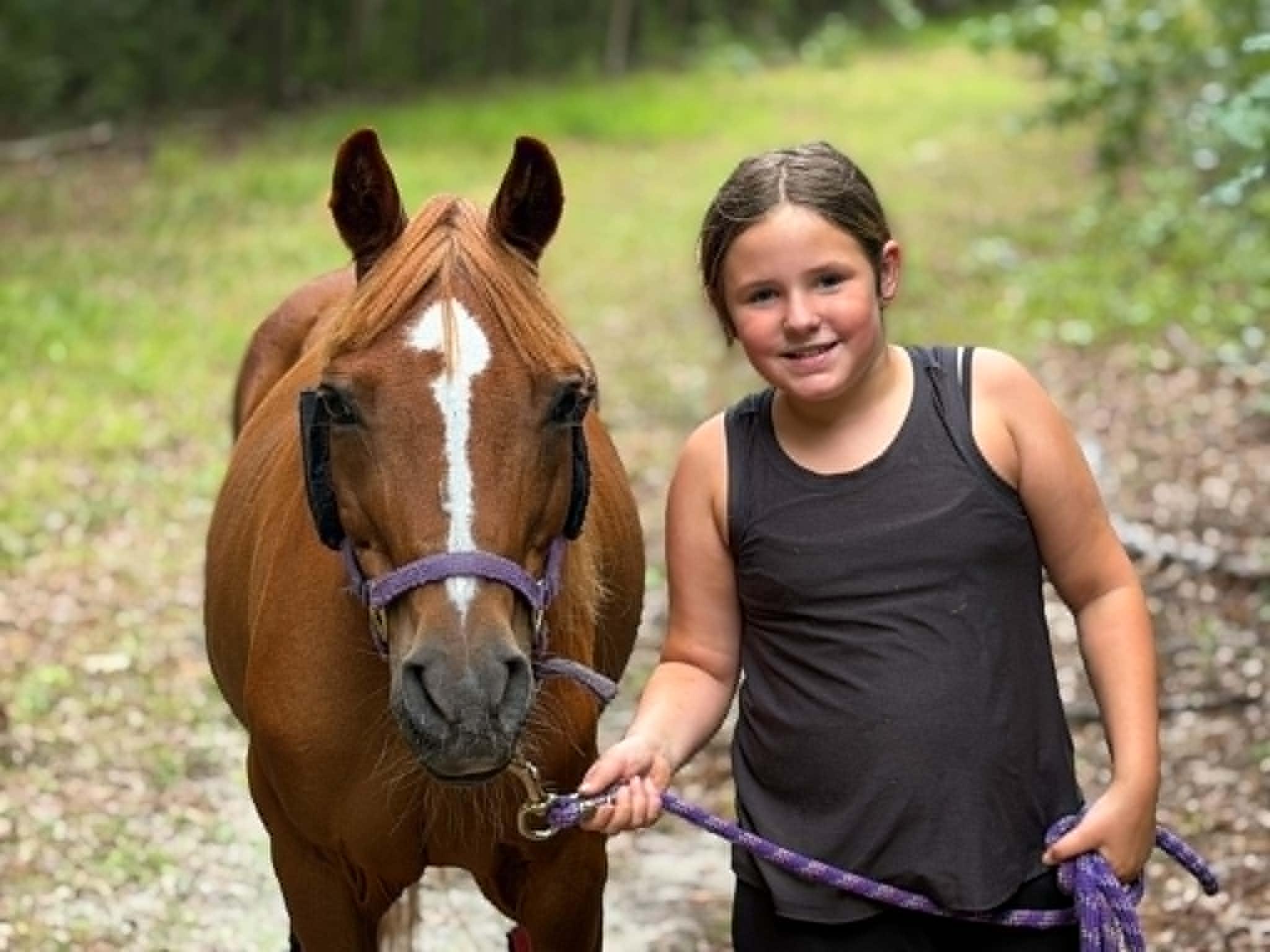 Enlarge Willow, a Adoptable Pony in Wall, NJ image 2/6
