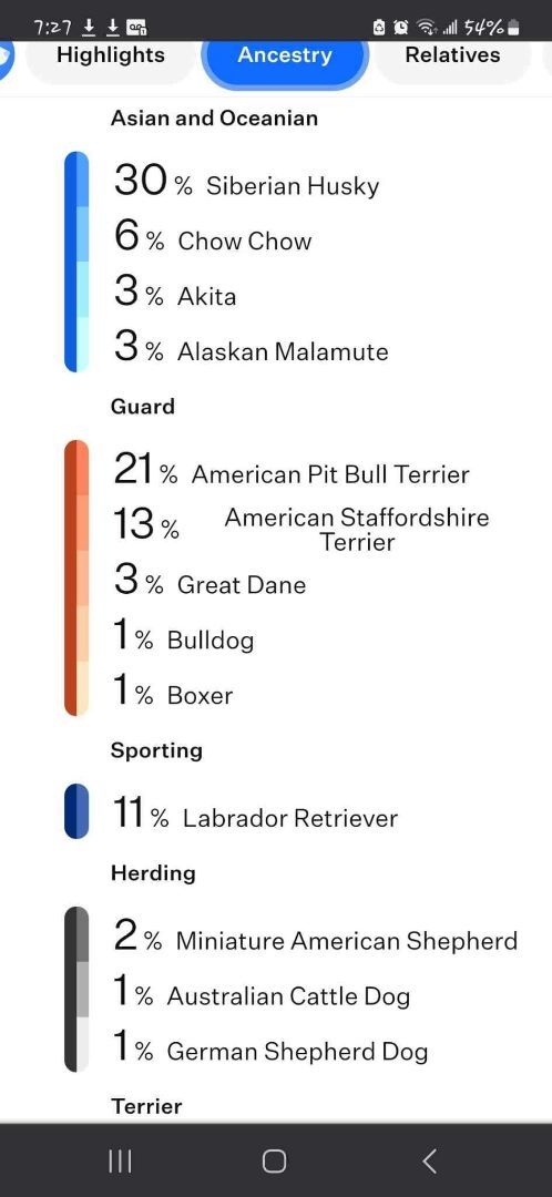 Edward, a Adoptable mixed breed in Port Saint Lucie, FL image 3/5