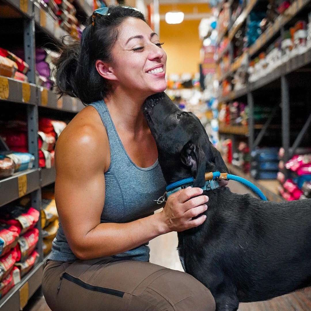 Enlarge Annie, an adoptable mixed breed in Plano, TX image 4/6