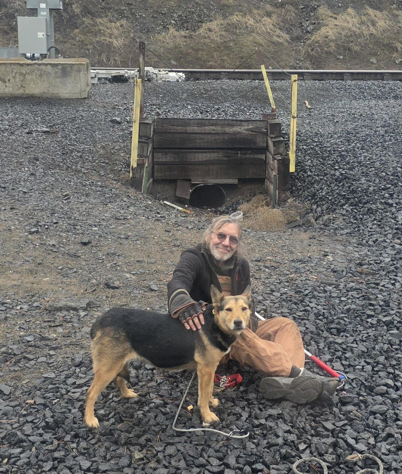 Enlarge Christine, an adopted Shepherd in Elk, WA image 2/6