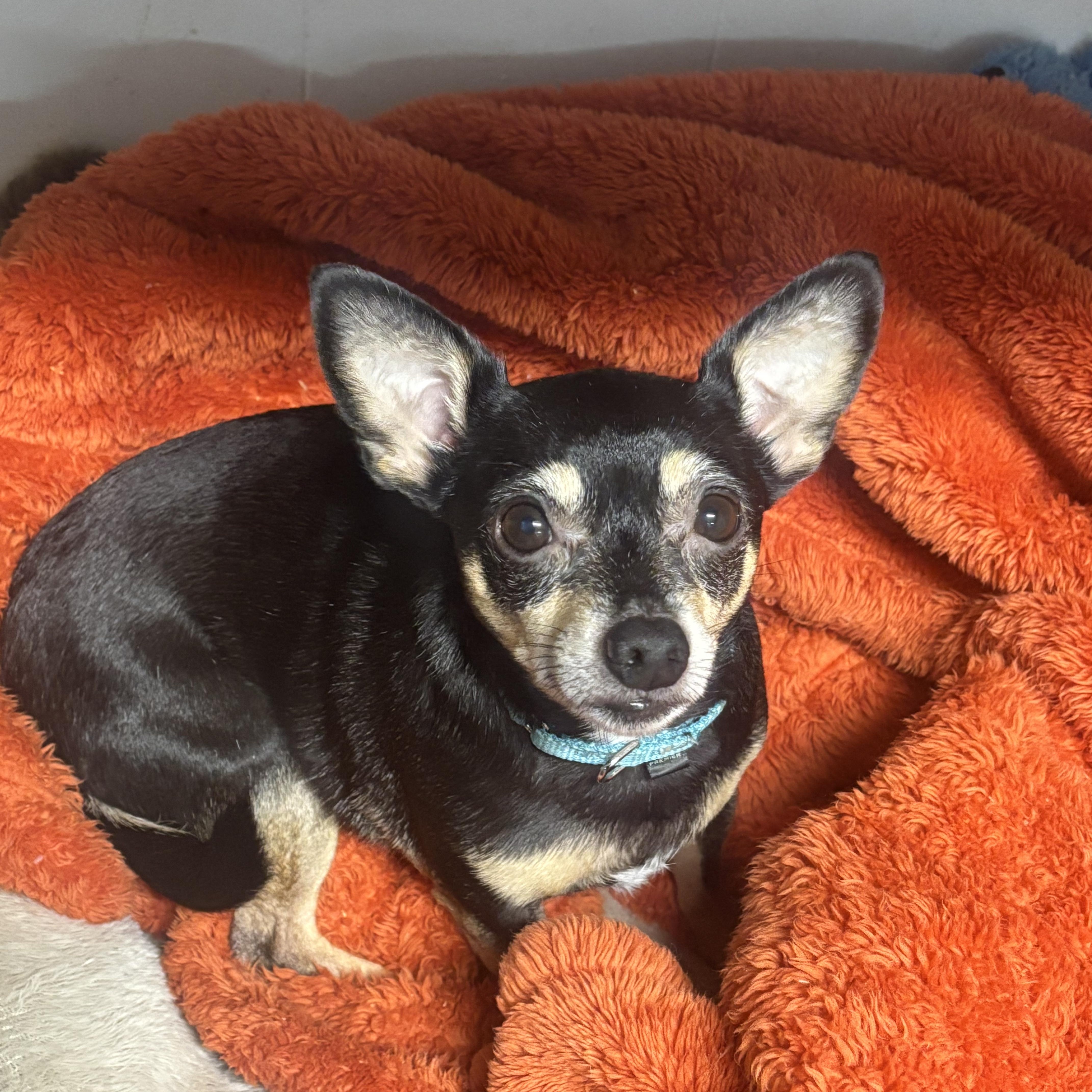 Lola photo 2