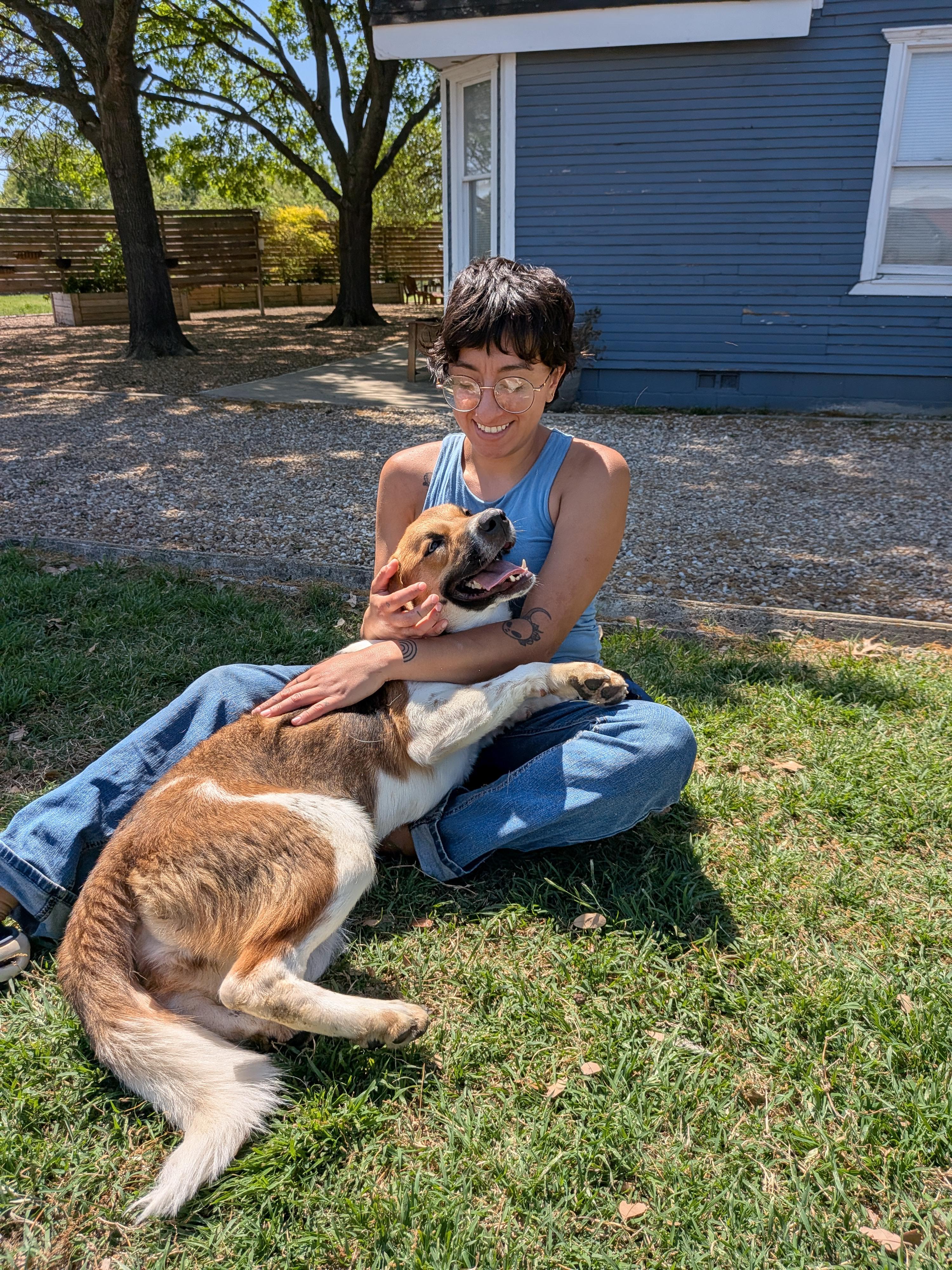 Enlarge Ruby, a Adoptable mixed breed in Dallas, TX image 2/2