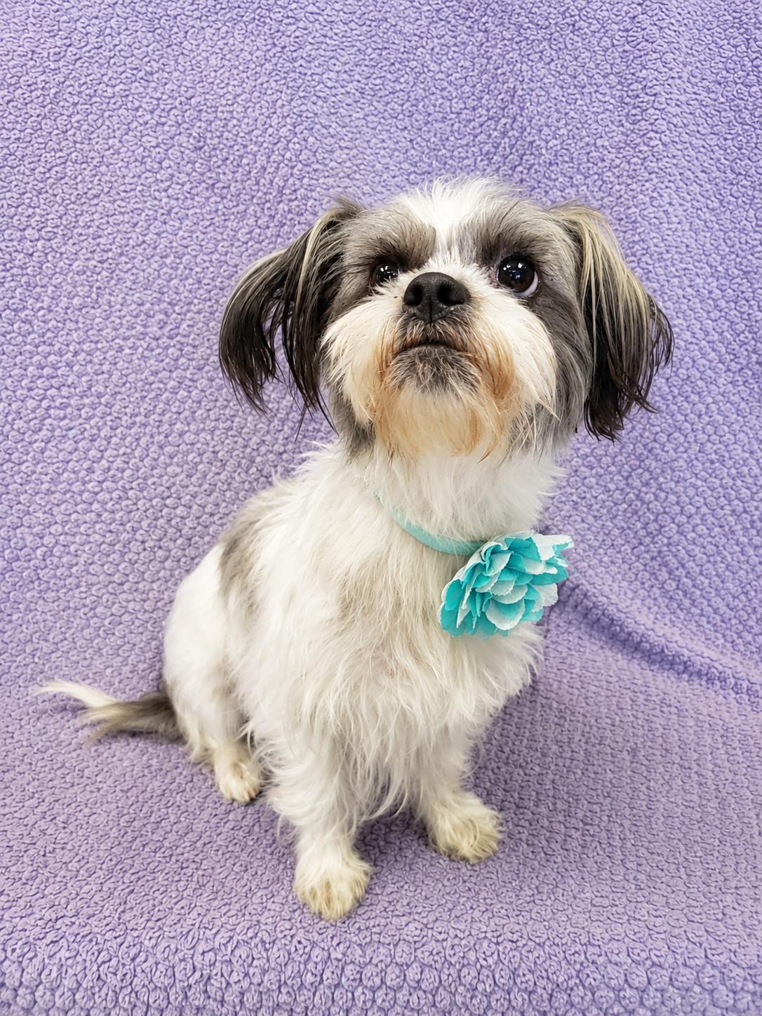 Minnie photo
