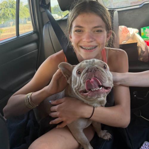 Promise, a Adoptable French Bulldog in Austin, TX image 5/5