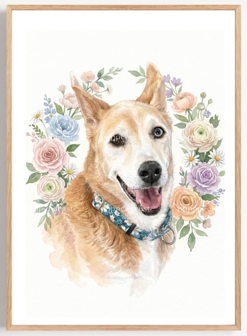 Angel, ADOPTABLE, Senior Female Husky.