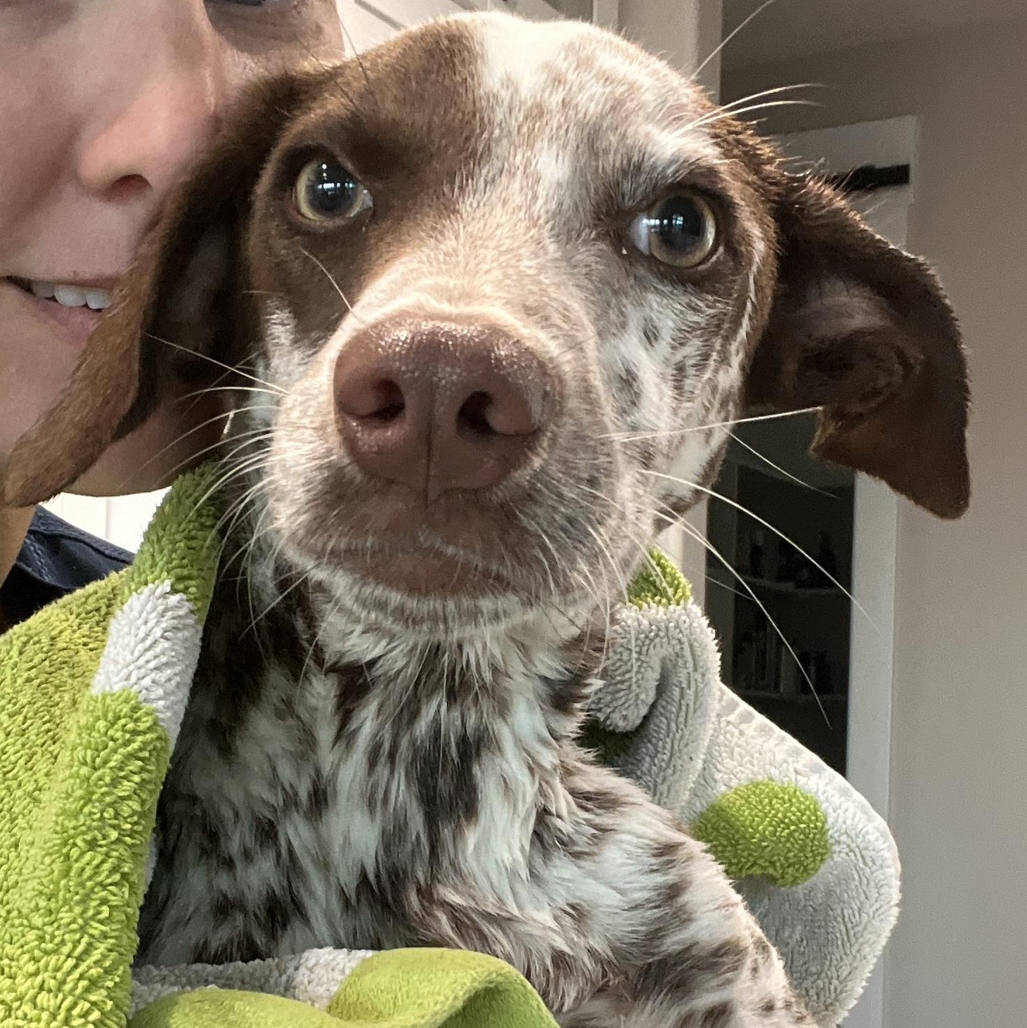 Polka Dots thumbnail 2