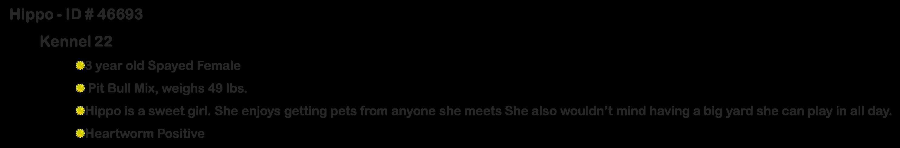 Enlarge Hippo, a ADOPTABLE Pit Bull Terrier in Suffolk, VA image 2/3