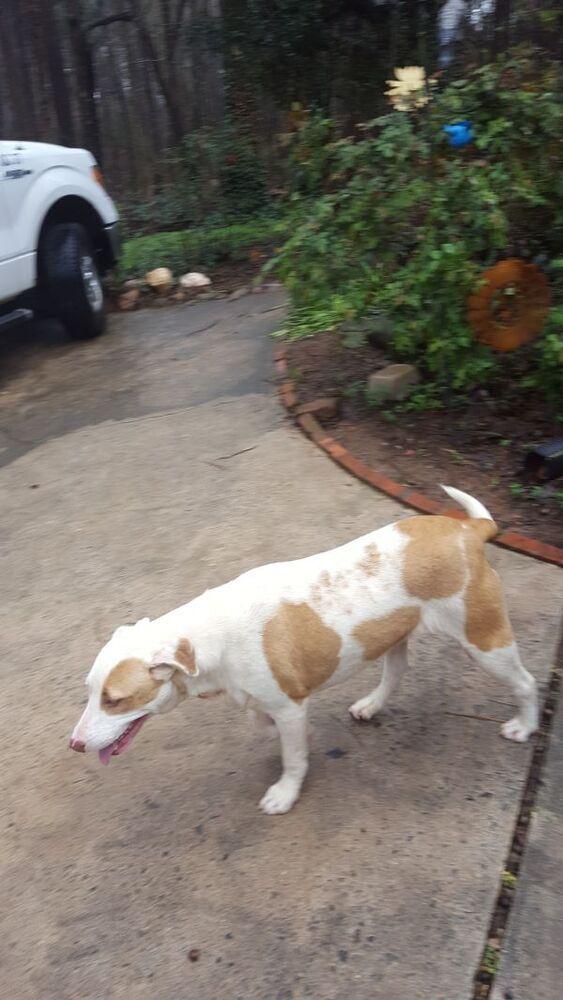 Holly — thumbnail 2