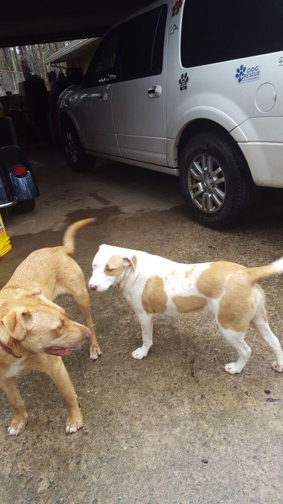 Holly — thumbnail 3