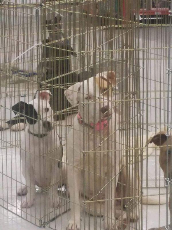 Holly — thumbnail 5