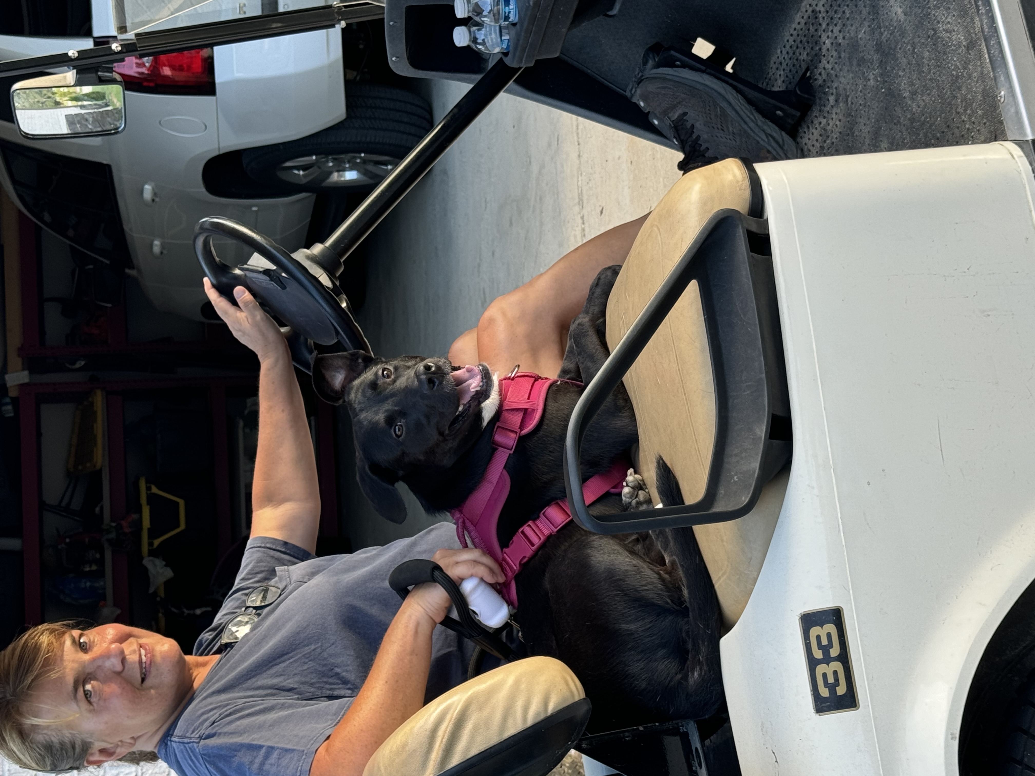 Enlarge Miss B, a Adopted mixed breed in Foley, AL image 5/5