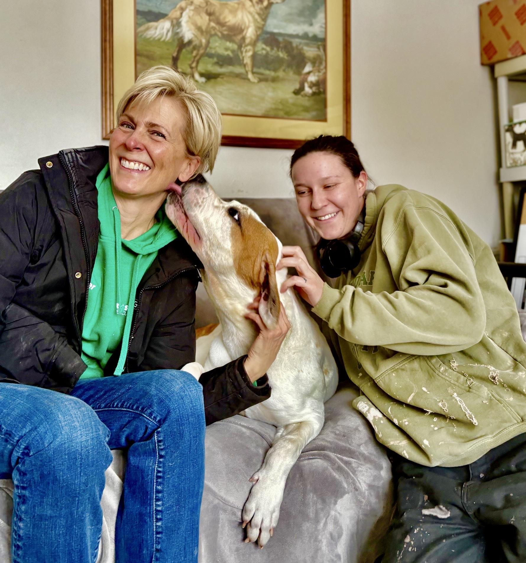 Enlarge Steph, a Adoptable mixed breed in Oxford, MI image 6/6