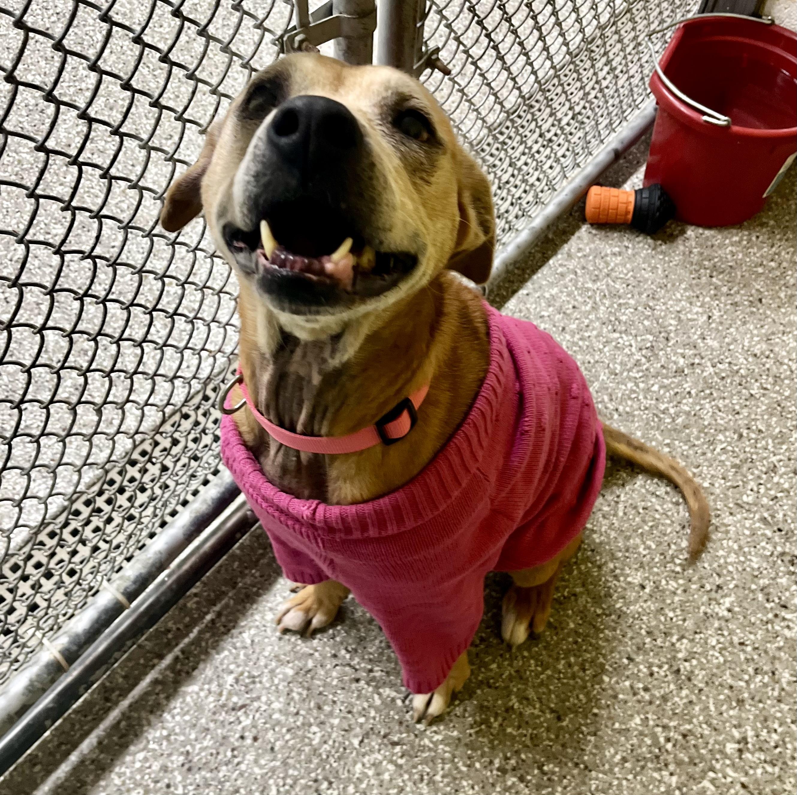 Prada — thumbnail 2