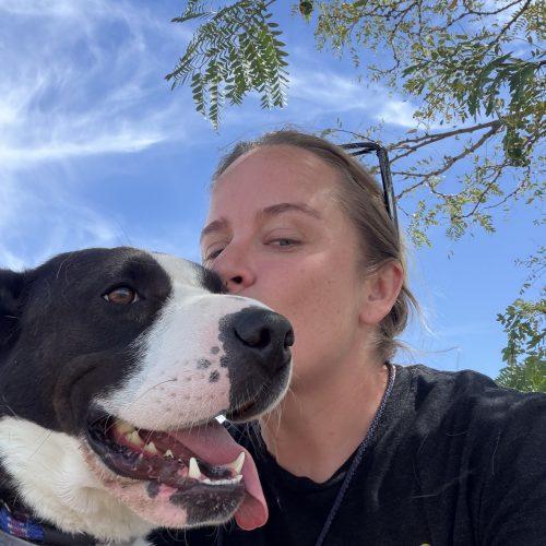 Enlarge Magnolia, a Adoptable mixed breed in Grand Junction, CO image 4/5