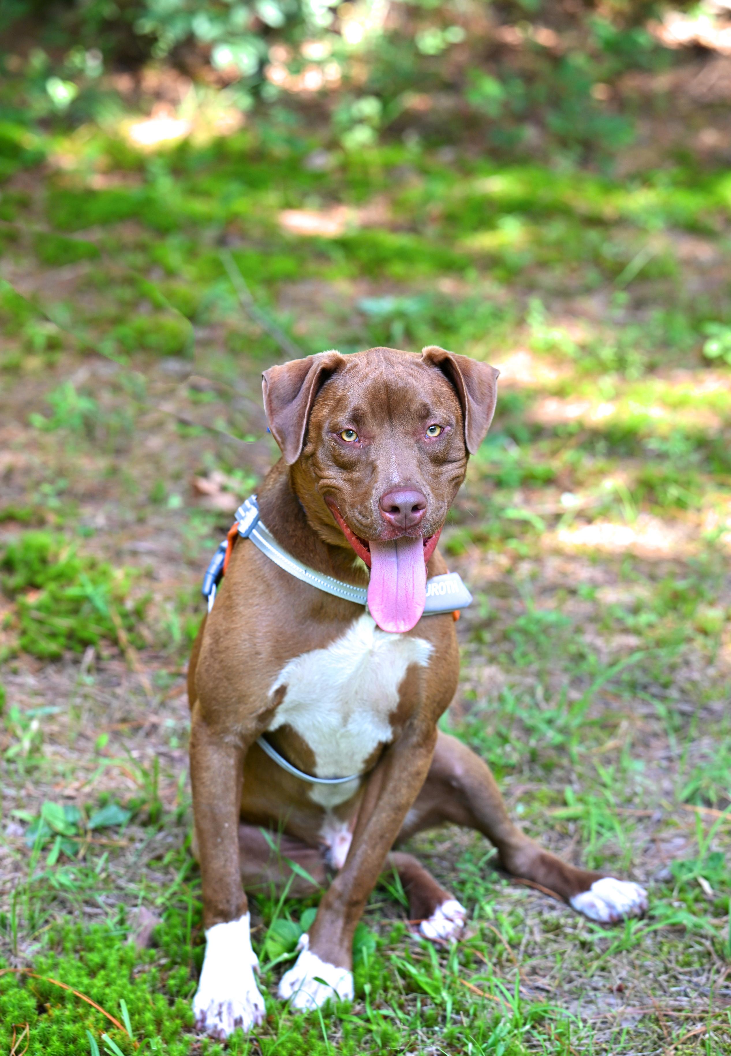 CLIFF- handsome boy!