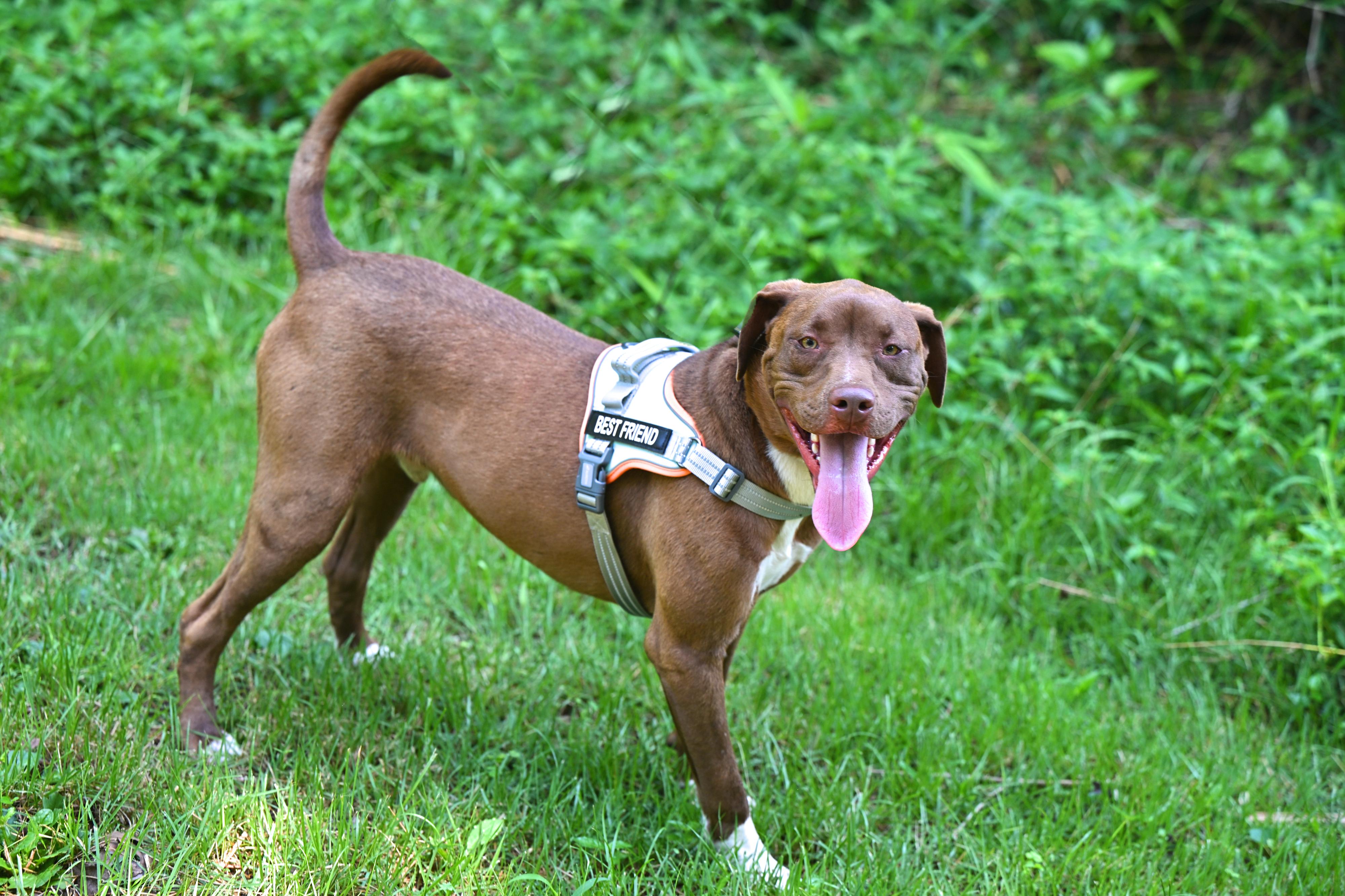 CLIFF- handsome boy!
